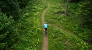 Navigating the Path